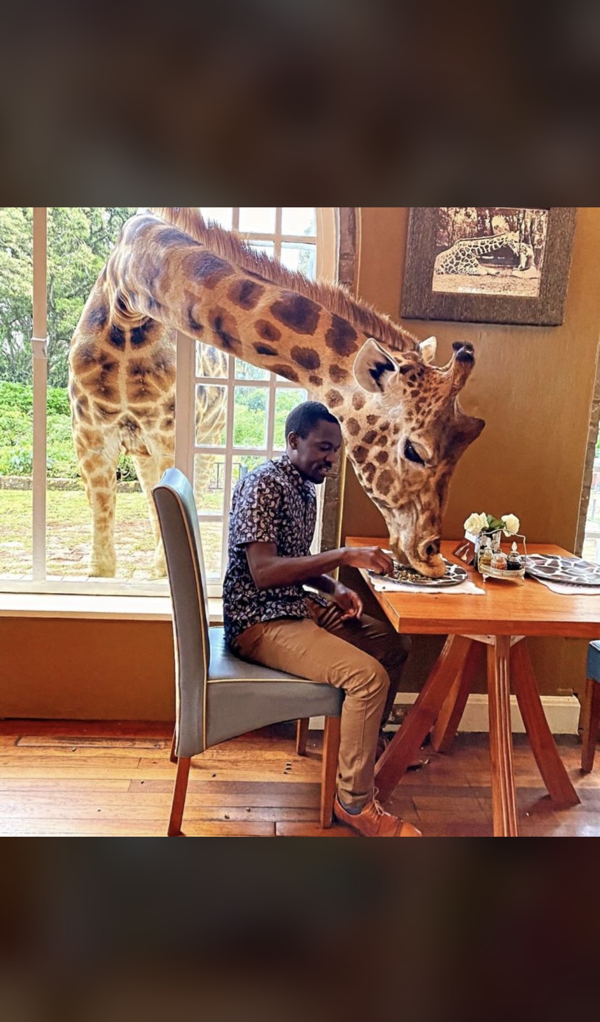 Breakfast with a Giraffe 
