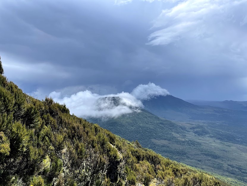Mgahinga home of Gorillas